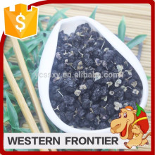 Chine QingHai type de culture organique Black goji berry